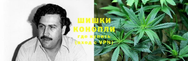 дмт Заволжск