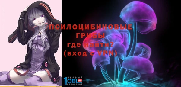 трава Покачи