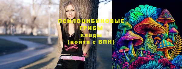круглые Заводоуковск