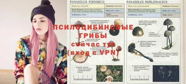 COCAINE Заволжье