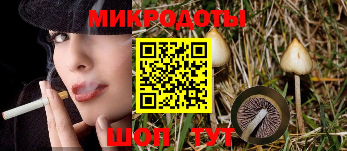 Галлюциногенные грибы Cubensis Сегежа