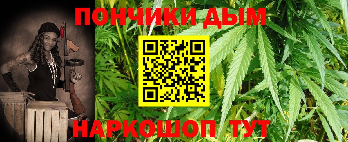 Канабис сатива Сегежа